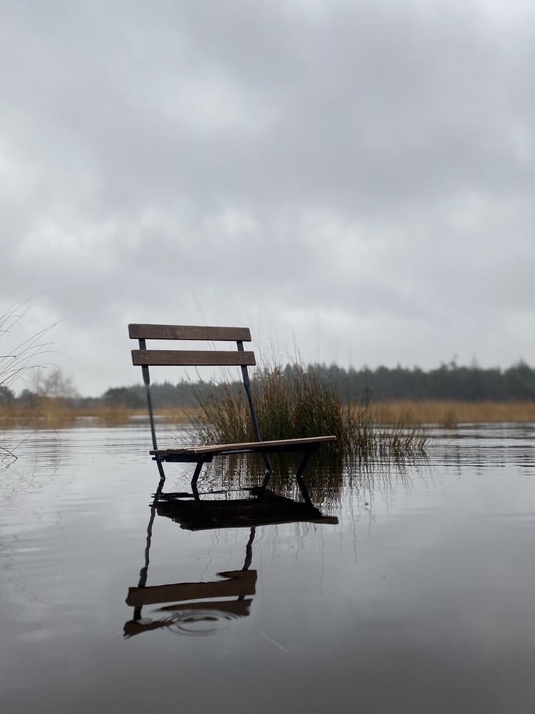 Empty bench standing in still water under a grey sky