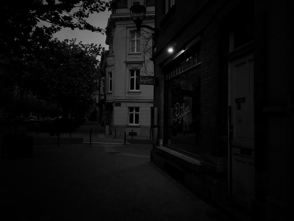 Python storefront at dusk, Brussels, 2020
